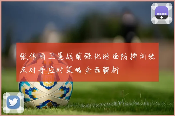 张伟丽卫冕战前强化地面防摔训练及对手应对策略全面解析